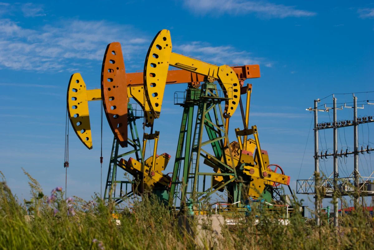 Eco-Shell Walnut Shells for the Oil Industry - Poukt