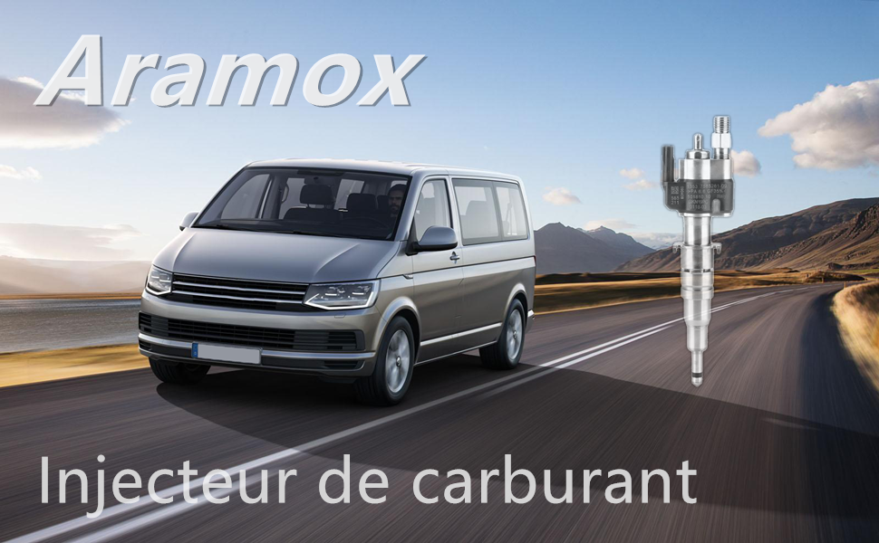 Injecteur de carburant