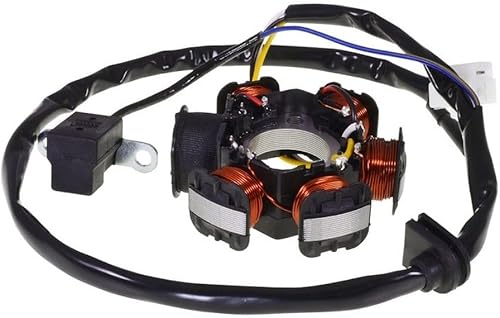 2extreme Alternateur compatible pour Peugeot Jetforce 50, Ludix, Speedfight 3 50 AC/LC - Poukt