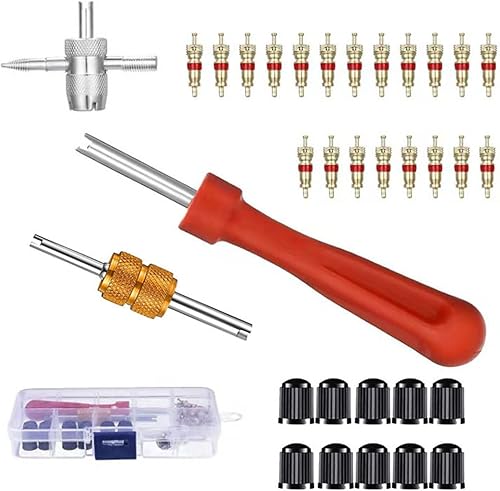 Extracteur de Valve de Pneu,Outil de Réparation de Valve de Pneu,Tire Repair Kit,Kit de Dépose de Valve de Pneu,Outil de Réparation de Soupape,Outil de Réparation D'obus de Soupape 33 Pcs Tokaneit - Poukt