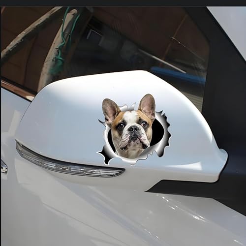 Autocollant bouledogue français - Effet déchiré 3D - Imperméable - Pour pare-chocs et fenêtre - Autocollant décoratif amusant pour ordinateur portable et réfrigérateur (25 cm) - Poukt