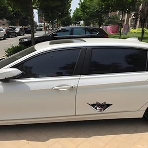 Autocollant Chihuahua drôle déchiré 3D autocollant voiture chihuahua tuning autocollant réfléchissant voiture