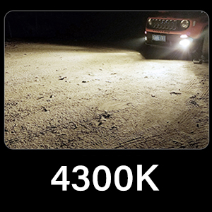 D2S 4300K