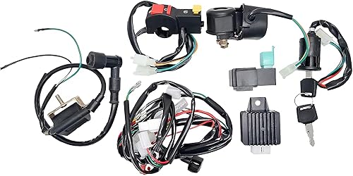 Baceyong Système d’allumage électrique complet avec faisceau de câblage pour motos de 50/70/90/110/125 cc, quads, dirt bikes et buggys - Poukt
