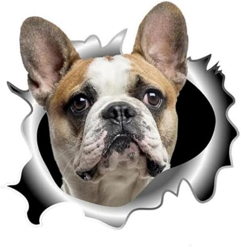 Autocollant bouledogue français - Effet déchiré 3D - Imperméable - Pour pare-chocs et fenêtre - Autocollant décoratif amusant pour ordinateur portable et réfrigérateur (25 cm) - Poukt