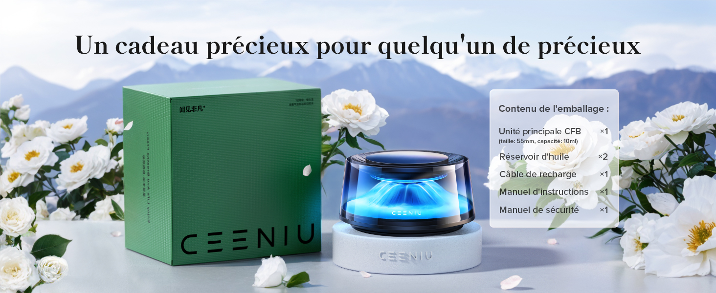 diffuseur voiture diffuseur diffuseur parfum voiture