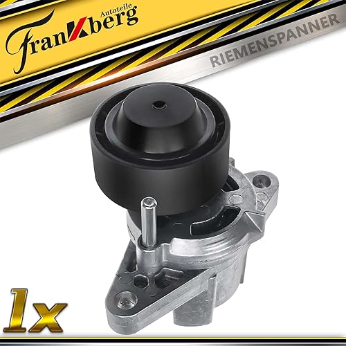 Frankberg Tendeur courroie trapézoïdale à nervures pour Logan Kangoo Laguna M.e.g.a.n.e Scénic Thalia Essence 1996-2020 8200603359 - Poukt