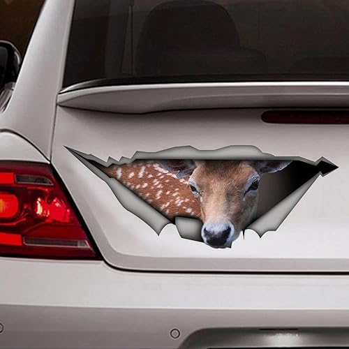 Madcolitote Autocollant 3D en vinyle pour fenêtre de voiture Motif labrador blanc 25,4 cm - Poukt