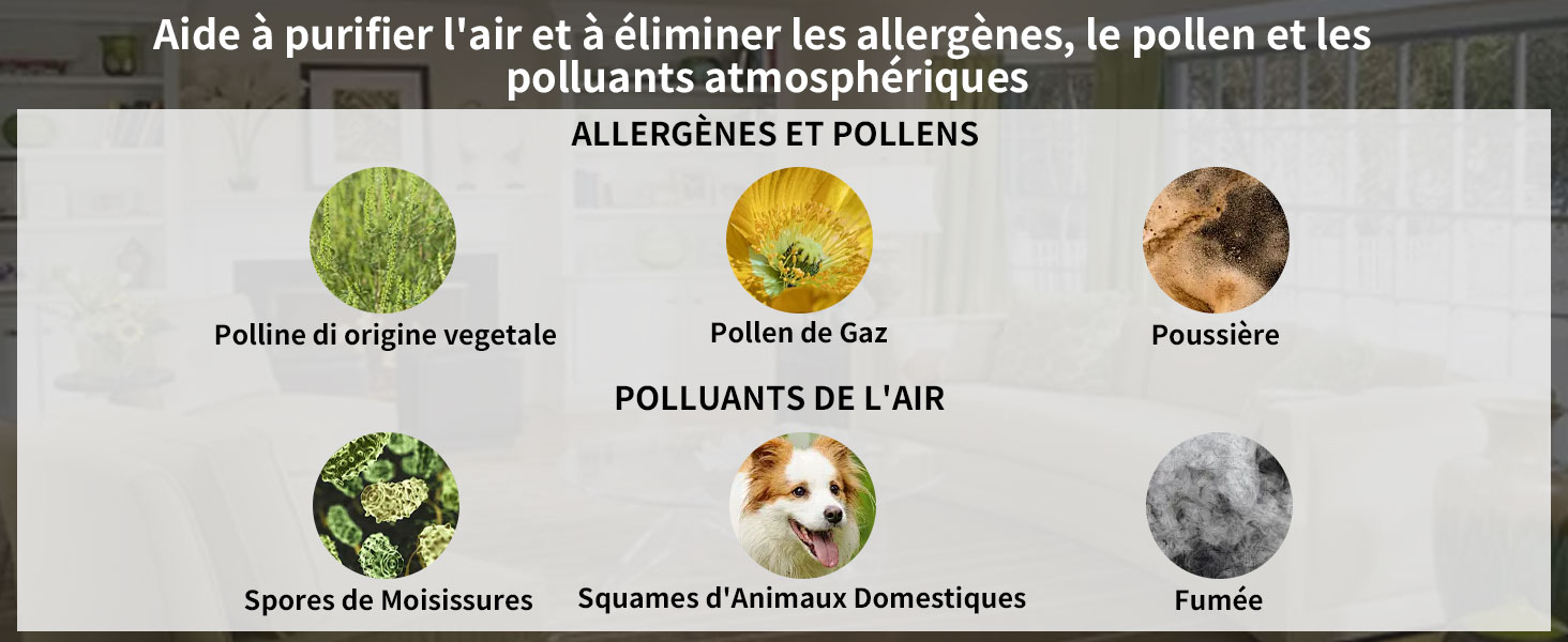 Cartouche de Remplacement pour Cendrier 
