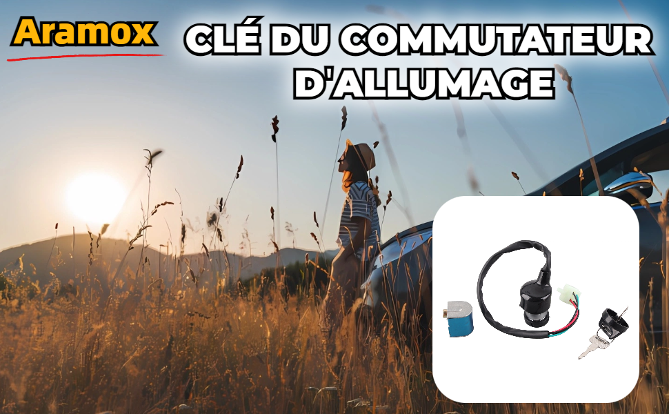 CLÉ DU COMMUTATEUR  D'ALLUMAGE