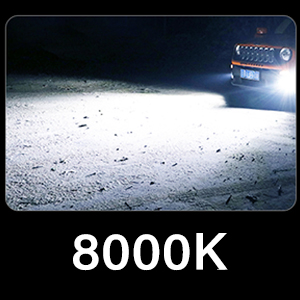 D2S 8000K