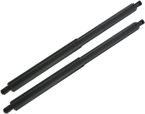 Frankberg 2x Ressorts à Gaz pour Hayon Gauche Droite Compatibles avec X5 E70 SUV 2006-2013 Remplacer# 51247294199 - Poukt