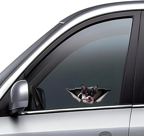 Autocollant de voiture 25 cm (9,8 pouces) Chihuahua Personnaliser Autocollant drôle Animal de compagnie Chien Autocollant étanche Noir Chihuahua 3D Déchiré Métal Autocollant réfléchissant Pare-chocs - Poukt