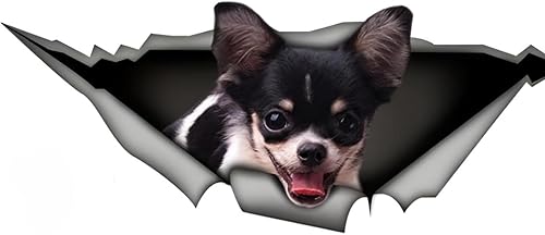 Autocollant de voiture 25 cm (9,8 pouces) Chihuahua Personnaliser Autocollant drôle Animal de compagnie Chien Autocollant étanche Noir Chihuahua 3D Déchiré Métal Autocollant réfléchissant Pare-chocs - Poukt