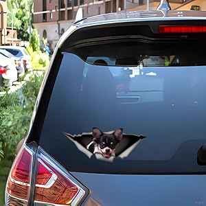 Autocollant Chihuahua drôle déchiré 3D autocollant voiture chihuahua tuning autocollant réfléchissant voiture