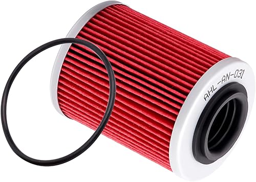 AHL 1 pièce Moto Filtre à huile 420956123 Pour Can-Am Ryker 600,Ryker 900, Ryker Rally 900 2019-2024/Street Bike: 2019-2020 Ryker 900 ACE/2019-2020 Ryker STD 600 ACE/2019-2020 Ryker STD 900 ACE - Poukt