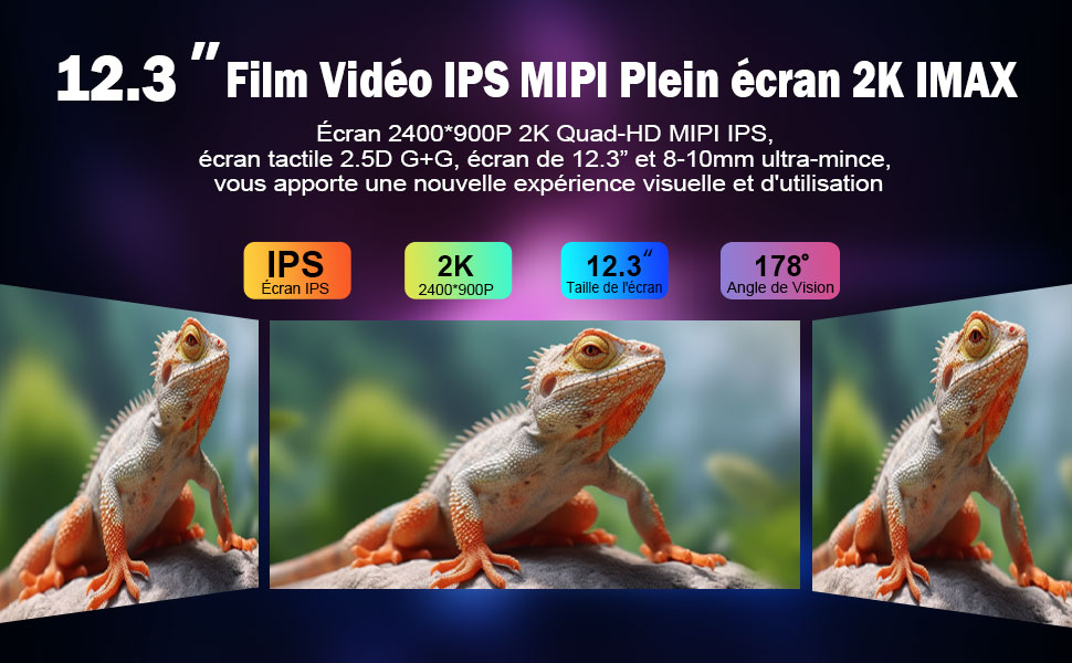 IPS-12.3-FR