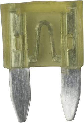 OROK - Lot de 10 Mini fusibles 20A enfichables Vert, fusible Voiture 20A, Mini fusible Plat - pour Tous Types de véhicules (véhicules Utilitaire, engins agricoles) - Fusibles Plats pour Auto - Poukt