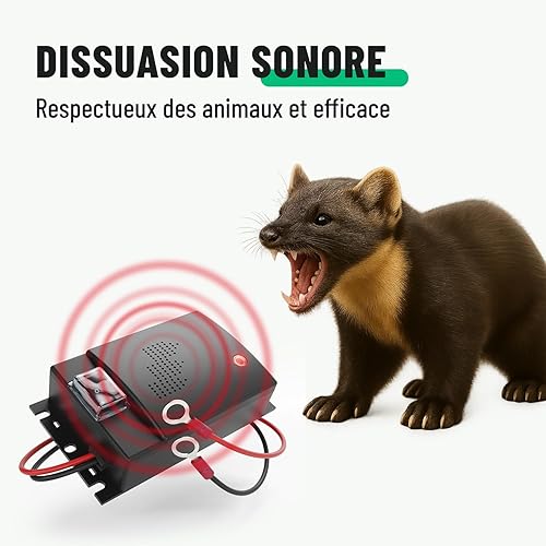 greate 3X Répulsif Anti fouine pour Voiture avec Connexion Batterie 12V - Anti martre pour Voiture - Anti martre Voiture, Ultrason fouine, Ultrason Anti fouine Voiture, Anti-martre - Ultrason Voiture - Poukt