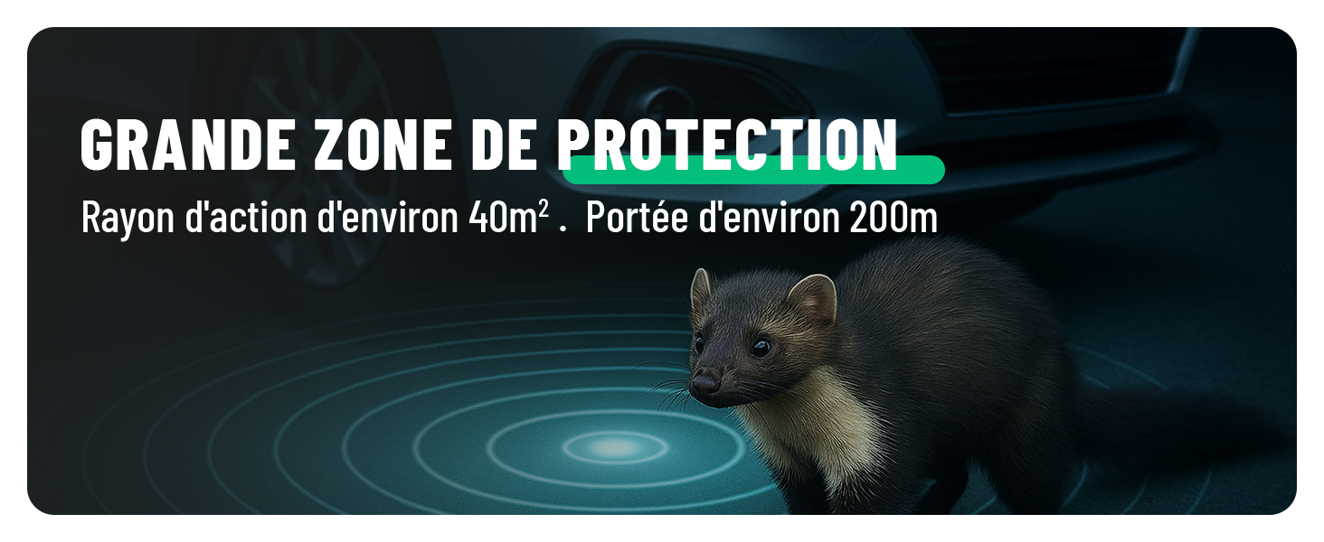 901017_Grande Zone de Protection